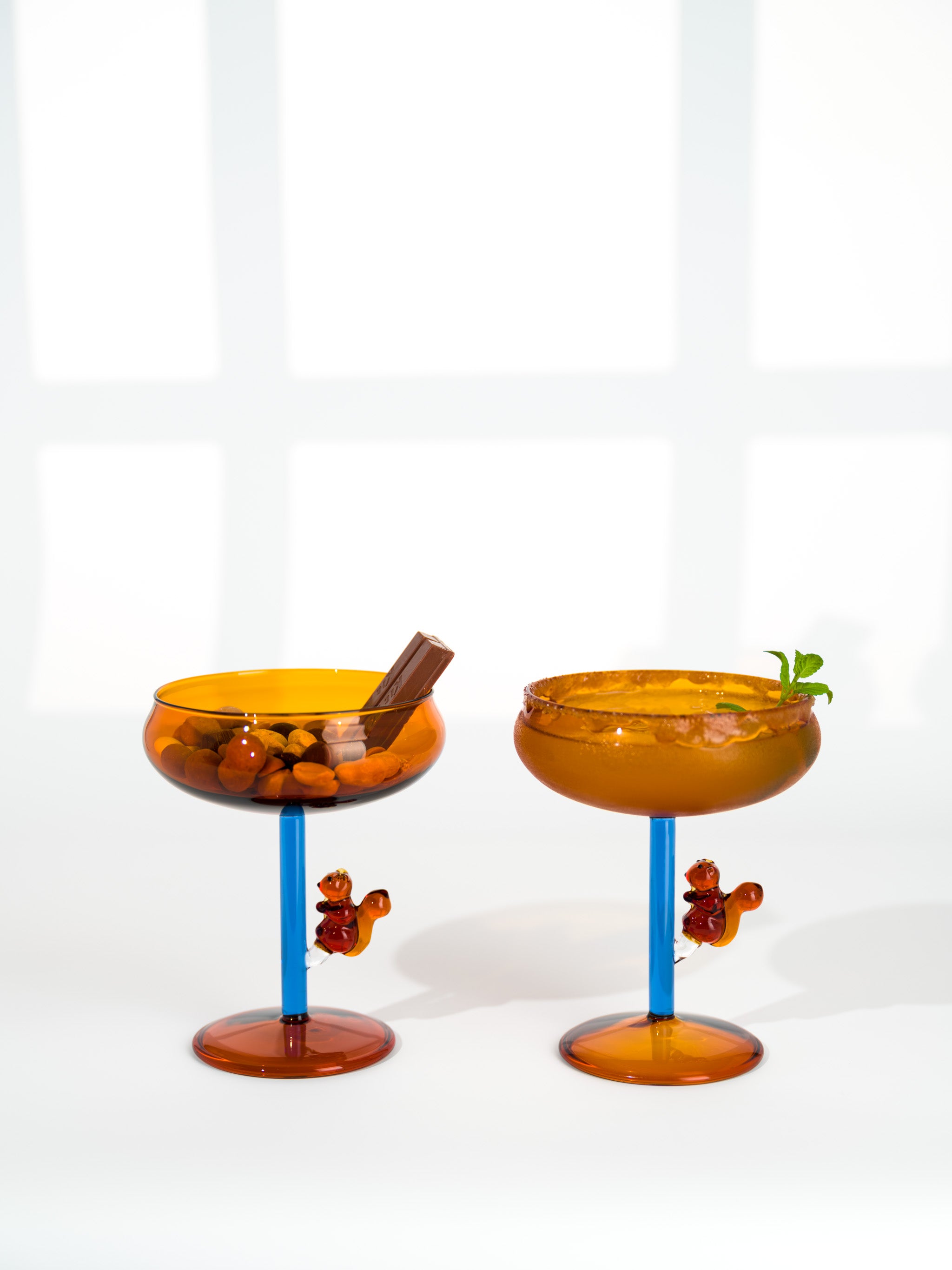 Squirrel Dessert Coupe Cocktail Glass